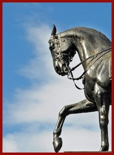 Anwalt für Pferderecht, Pferdekauf, Schadensersatz, Gewährleistung